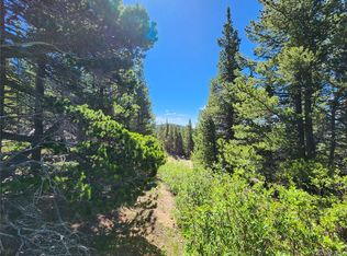 LOT 883 Lincoln Dr LOT 883, Idaho Springs, CO 80452