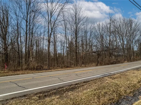 Niles Ashtabula, Cortland, OH 44410