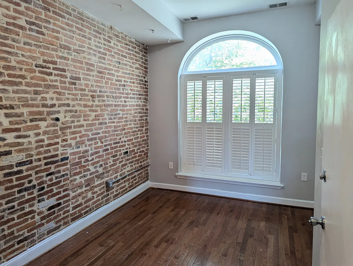 Light filled living room, with 10 ft ceilings. - 2024 N Calvert St #2