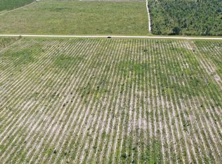 0 SE Pebble Ridge St, Lee, FL 32059