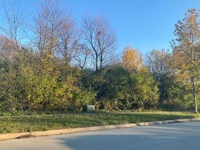 21405 S Woodland Way, Shorewood, IL, 60404