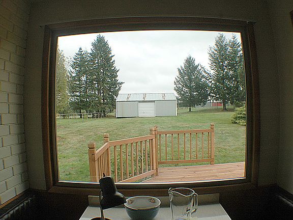 view out kitchen- backyard/shop