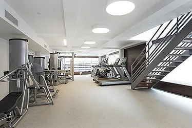 Rented by Bold New York