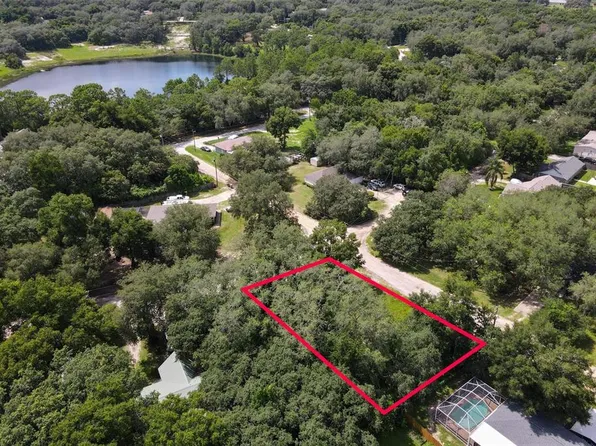 Palm St Lot 36, Lady Lake, FL 32159