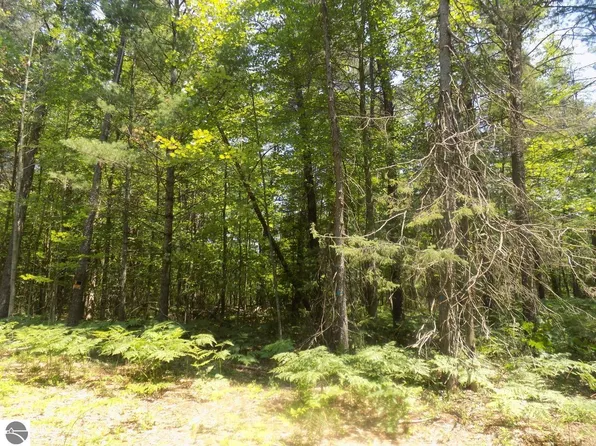 Xxx Old Pine Trl, Prudenville, MI 48651