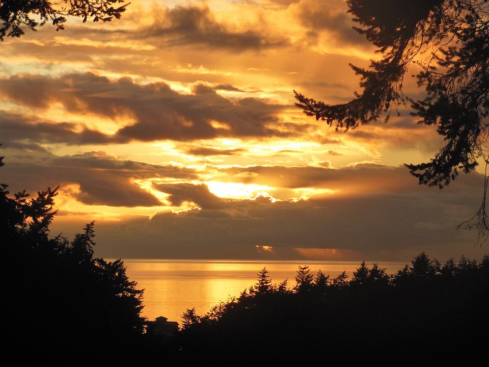 1569 Wildberry Ln, Oak Harbor, WA 98277 Zillow
