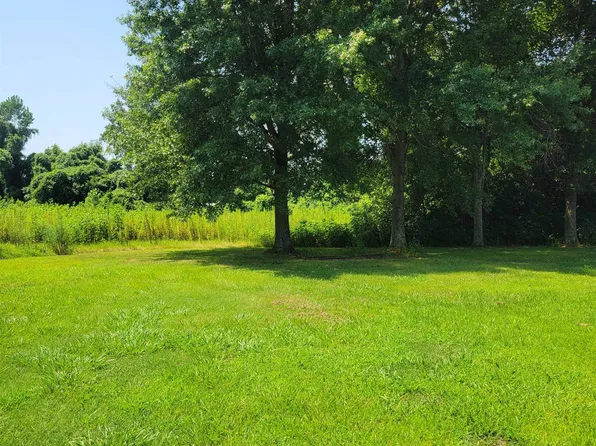 140 Halliburton Ave, Ripley, TN 38063