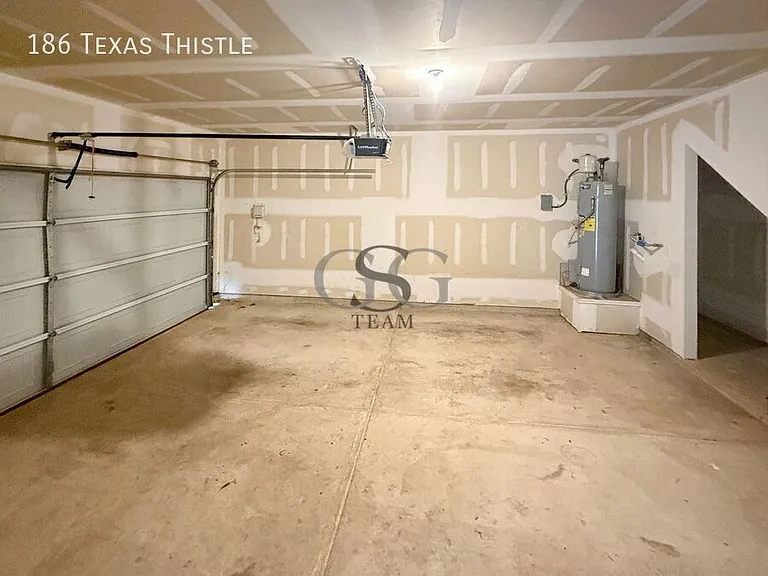 186 Texas Thistle — Photo 27