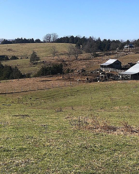 1st image of 517 Tall Hickory Ln