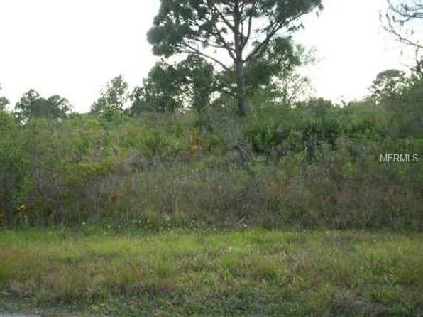 131 Lincoln Rd NE, Lake Placid, FL 33852