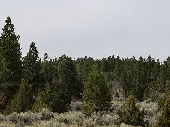 5th image of Bryce Cyn