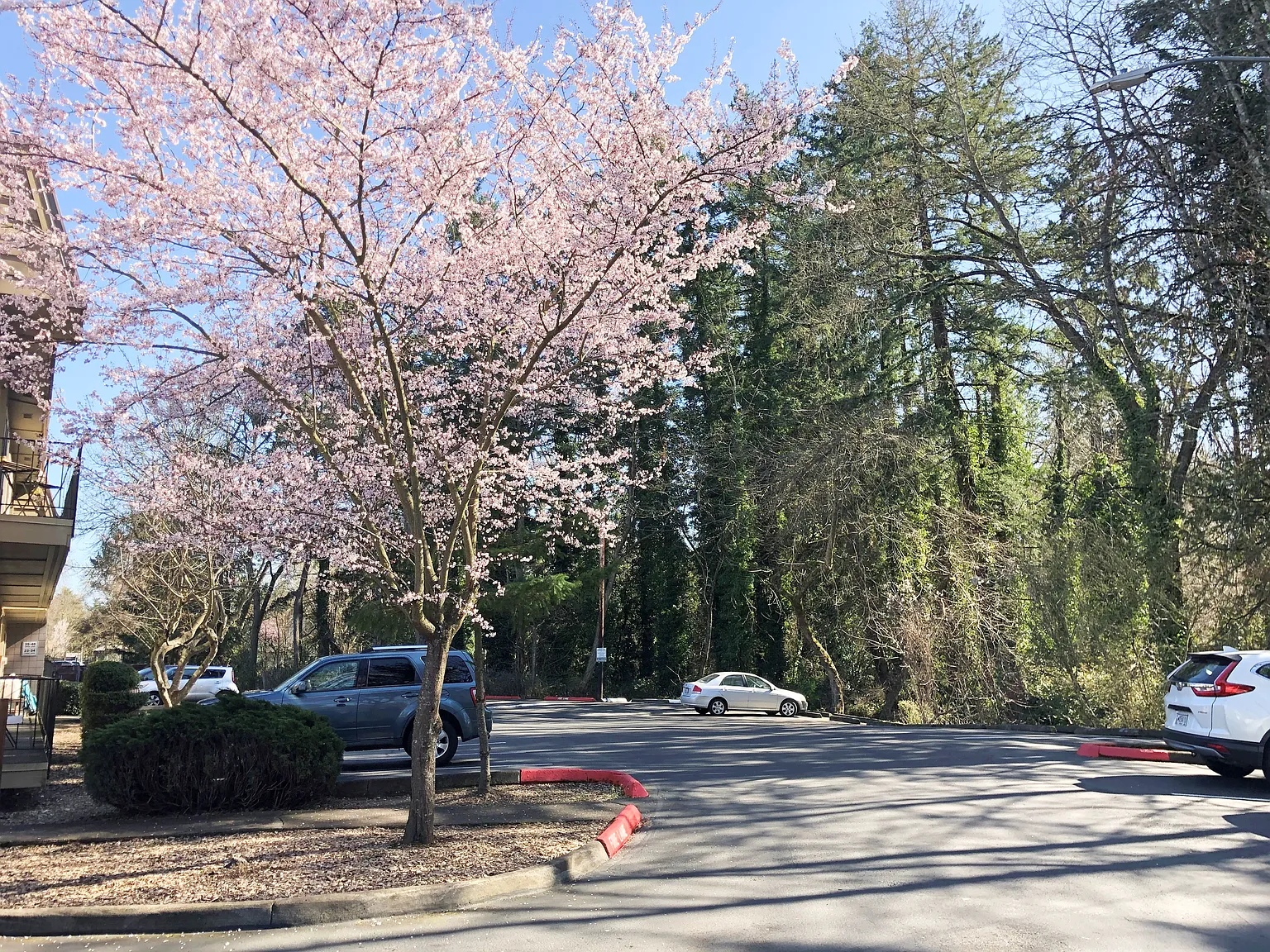 Brookside Estates — Photo 4