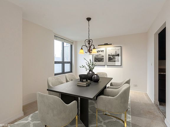 5th image of 401 E Ontario St APT 4502