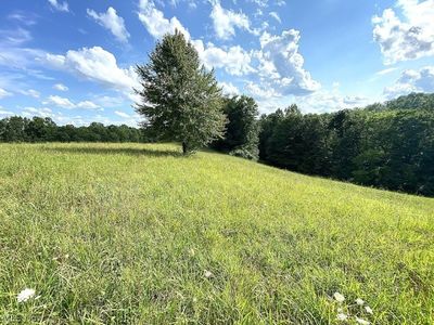 Little Left Hand Rd, Looneyville, WV, 25259