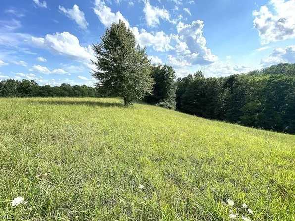 Little Left Hand Rd, Looneyville, WV 25259