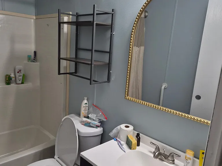 34620 Yellow Parrot Dr — Photo 5
