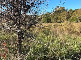 0 Amicks Ferry Rd Parcel 1, Chapin, SC 29036