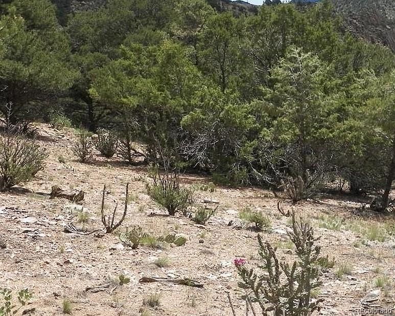 2nd image of 19251 Road 24 2