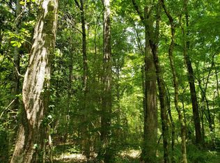 0 County Road 49, Clayton, AL 36016