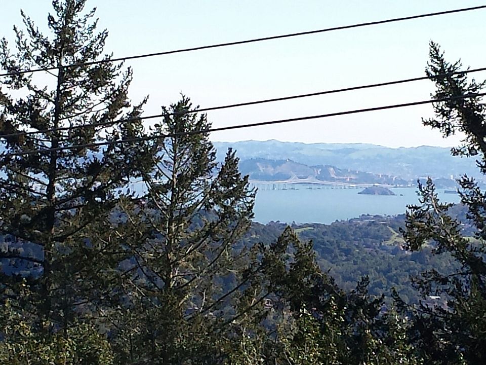 Views of Richardson Bay