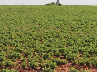 1831 County Road 84, Morton, TX 79346