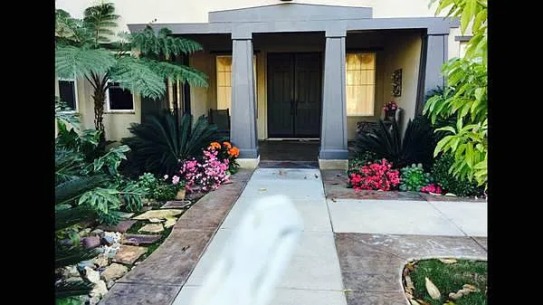 front yard