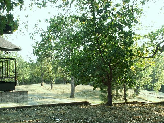 NW corner of the house