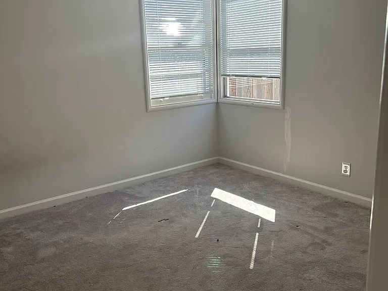 1101 Irwin St — Photo 4