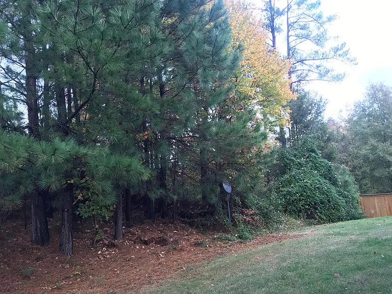 105 Kurtner Ct — Photo 13