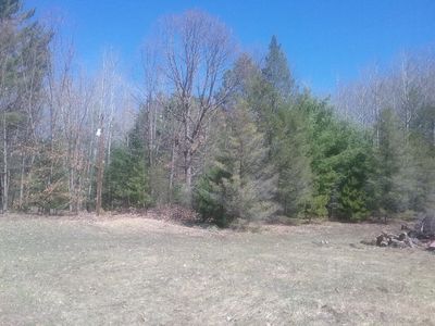 Eagles Nest Rd, Indian river, MI, 49749