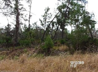 427 Scaup Ave, Sebring, FL 33872