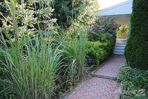 Walkway to Porch