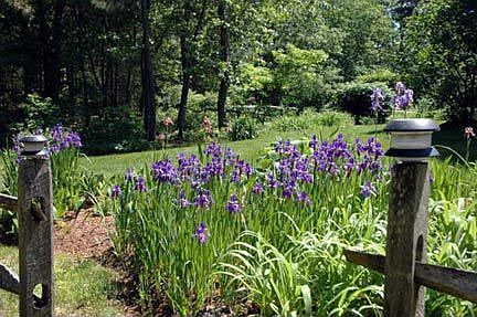 This lovely property is brimming all summer long with blooming flowers.