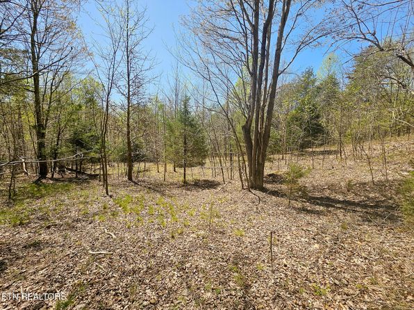 170 Bluff View Rd, New Tazewell, TN 37825