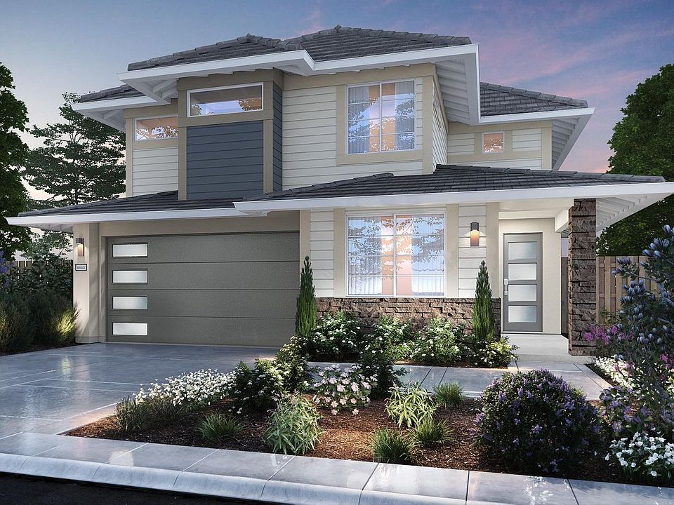 Modern Elevation