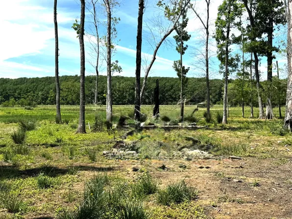 3400 Fm 1127 Rd, Shepherd, TX 77371