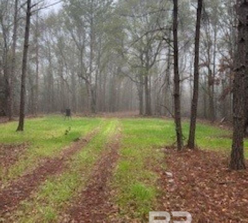 1st image of 0 W Eastward Rd