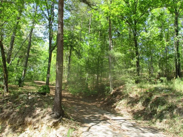 1925 Noah Valley Rd, Jacksonville, AL 36265