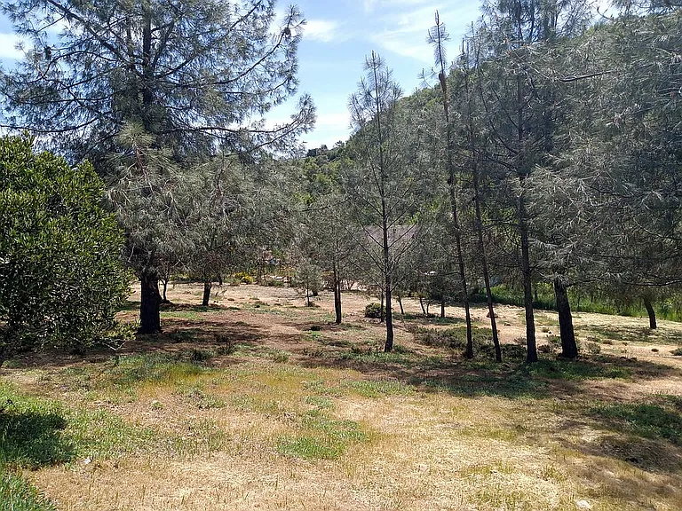 10155 El Capitan Way