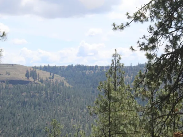 Pine Forest Sontag Ridge Ln #3, Davenport, WA 99122