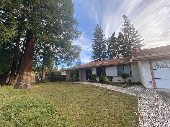 Huge Front Yard with Established Trees