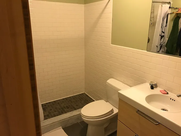 Lower level full bath, Toto fixtures