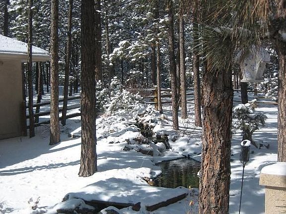 Serene privacy with Year Round Water Feature
