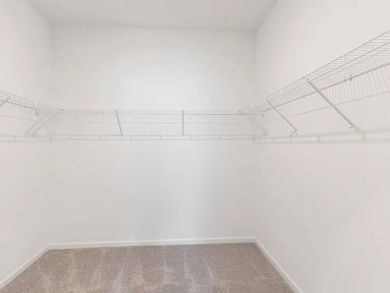 35747 Buttonweed Trl — Photo 16