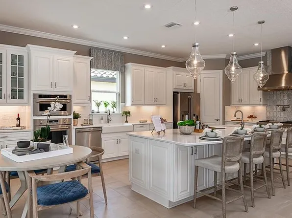 29620 Imperati Blvd, Wesley Chapel, FL 33543