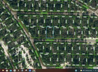 414 Surrender Ave #19, Lake Placid, FL 33852