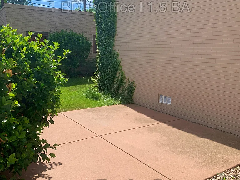 Back Patio