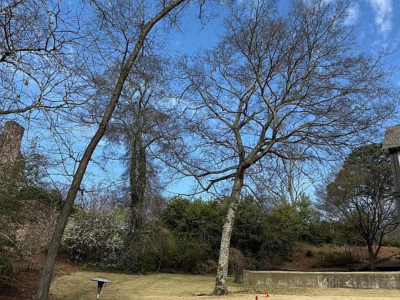 5th image of 2609 Aberdeen Rd Unit 12A