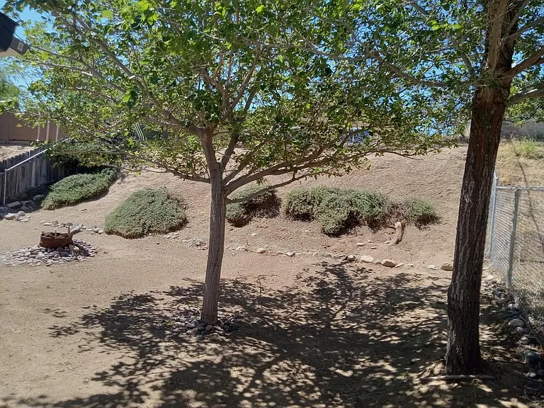 6816 Hemp Ct — Photo 4
