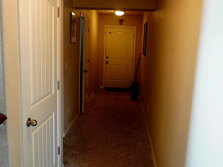 8381 Needle Drop Ct — Photo 8